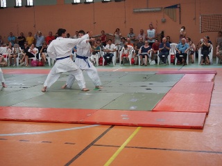 Image description